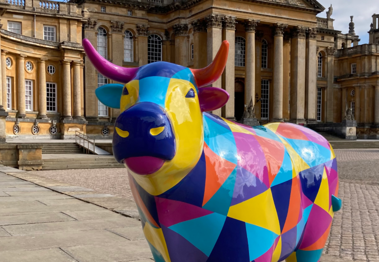 Deadline Approaching Oxfordshire S Chance To Shine In OxTrail 2024   Ox At Blenheim Edit 770x533 